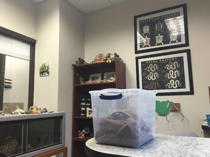 Avian & Exotic Animal Clinic Picture 3
