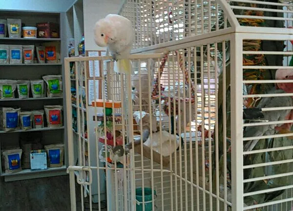 Avian & Exotic Animal Clinic Picture 4
