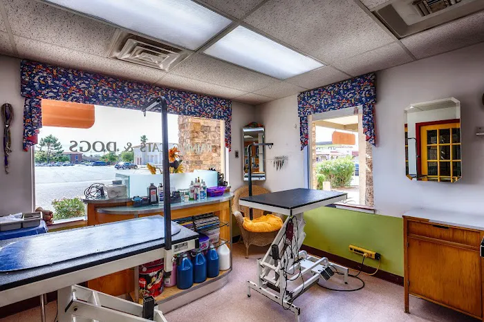 Raining Cats & Dogs Grooming Salon Picture 5