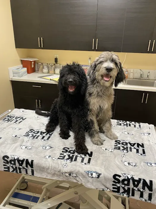 Four Peaks Animal Clinic Picture 9