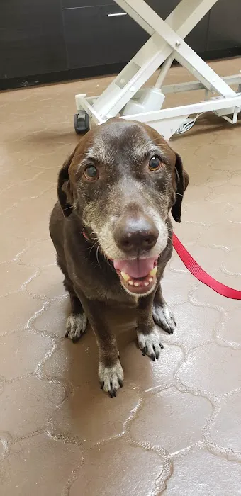 Four Peaks Animal Clinic Picture 10