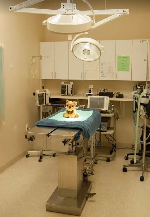 Animal Clinic Del Rancho Picture 7