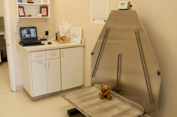 Animal Clinic Del Rancho Picture 1