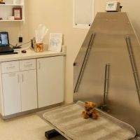 Animal Clinic Del Rancho ico