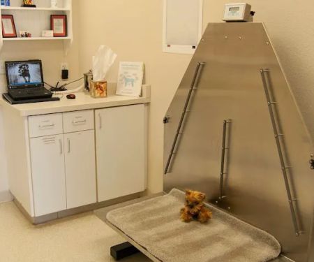 Animal Clinic Del Rancho