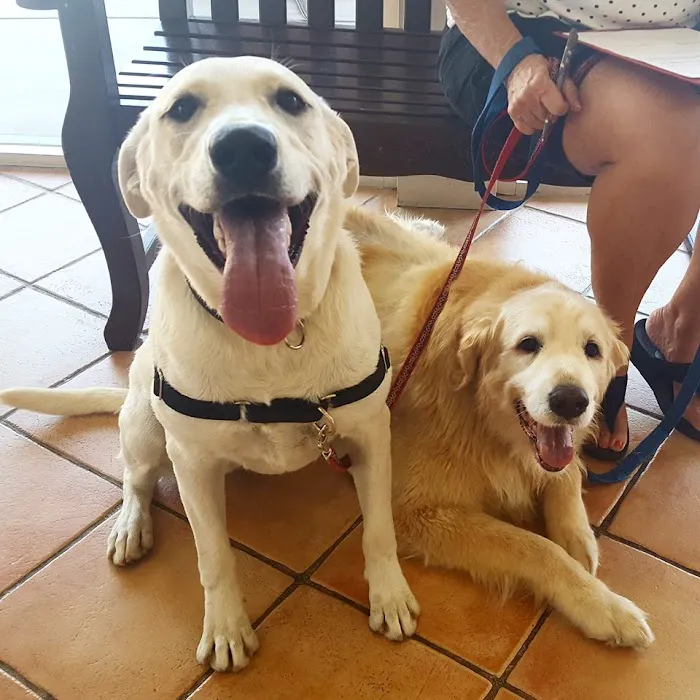 Animal Clinic Del Rancho Picture 8