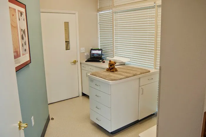 Animal Clinic Del Rancho Picture 3