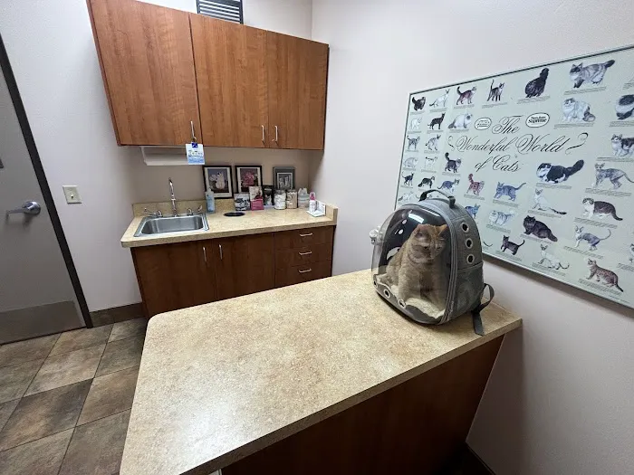 KC Animal Hospital & Pet Resort Picture 8