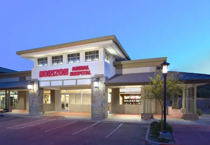 Horizon Animal Hospital Picture 7