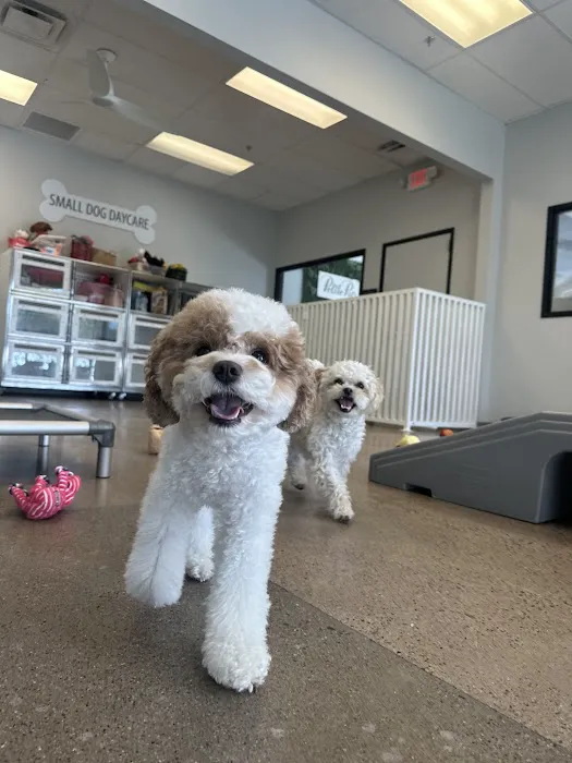 Horizon Animal Hospital Picture 5