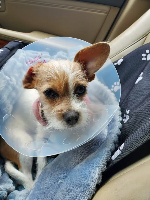 Horizon Animal Hospital Picture 9