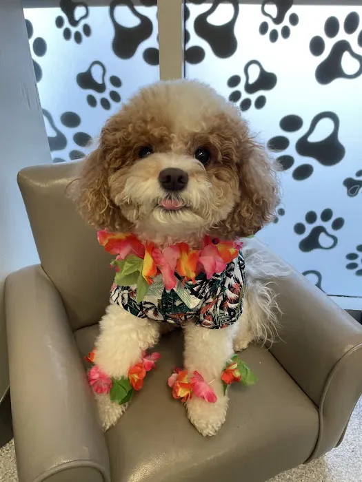 Horizon Animal Hospital Picture 8