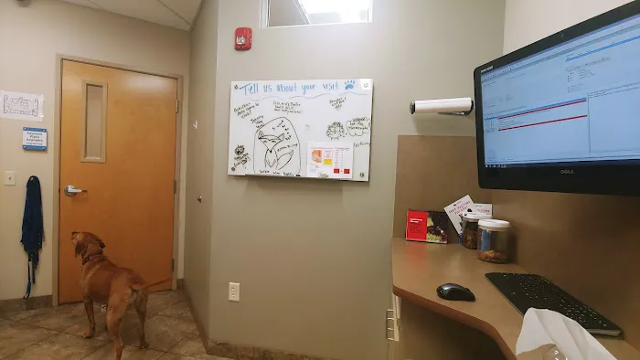 Lovet Pet Health Care - Scottsdale Hills Picture 6