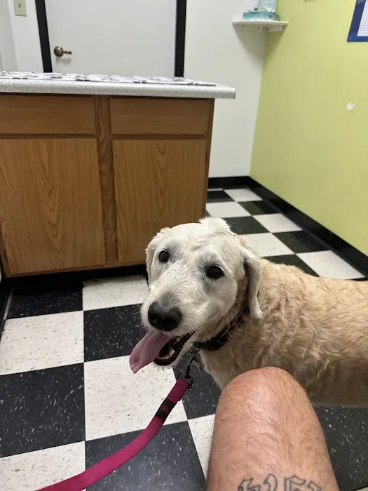 North Ranch Animal Hospital (Kierland Animal Clinic) Picture 9