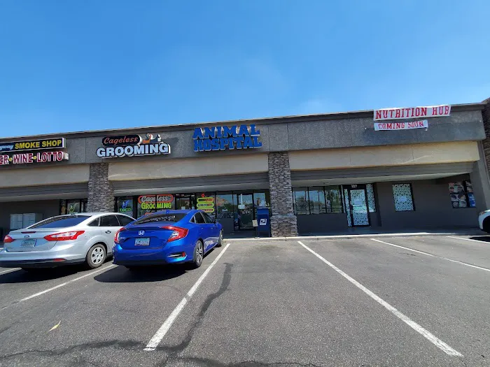 North Ranch Animal Hospital (Kierland Animal Clinic) Picture 2