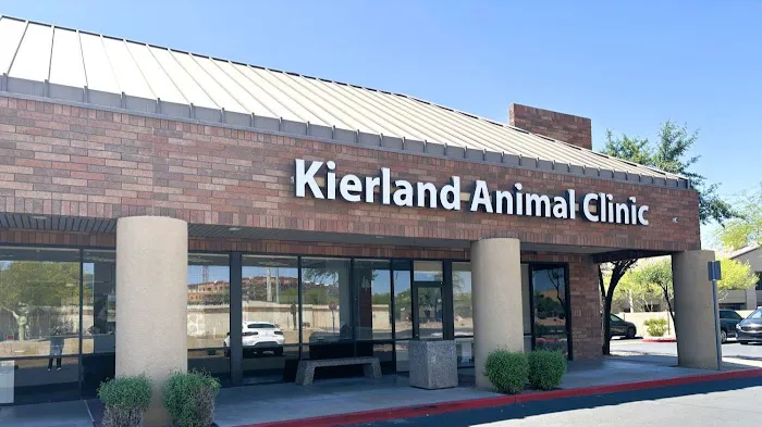 Kierland Animal Clinic Picture 7