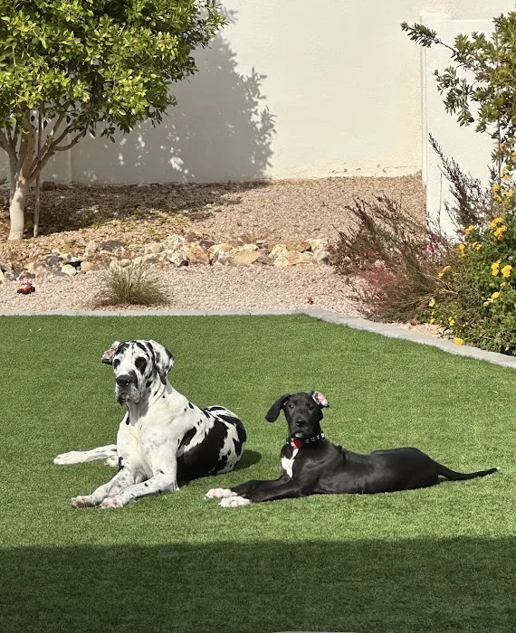 Kierland Animal Clinic Picture 2