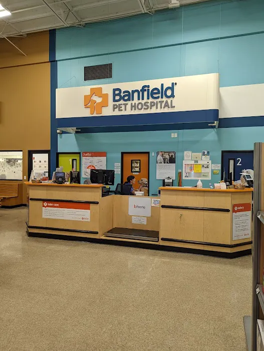 Banfield Pet Hospital Picture 1
