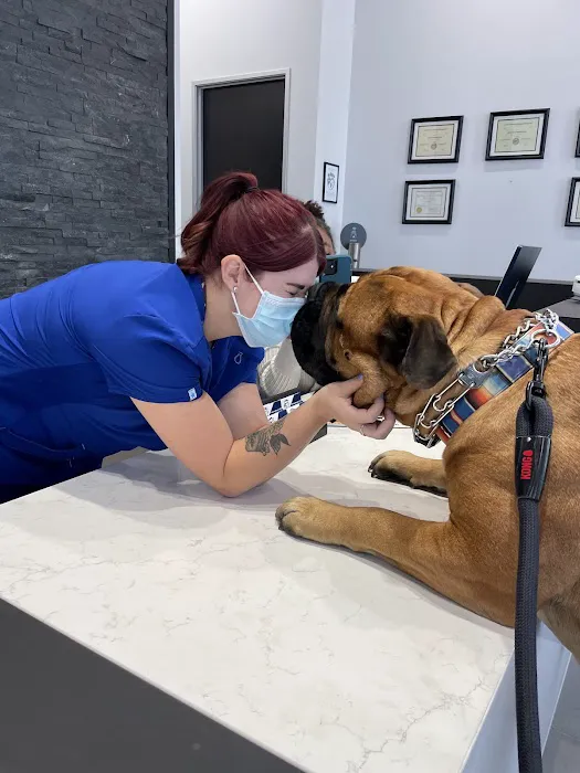 Desert Ridge Animal Hospital Picture 1