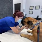 Desert Ridge Animal Hospital