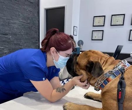 Desert Ridge Animal Hospital