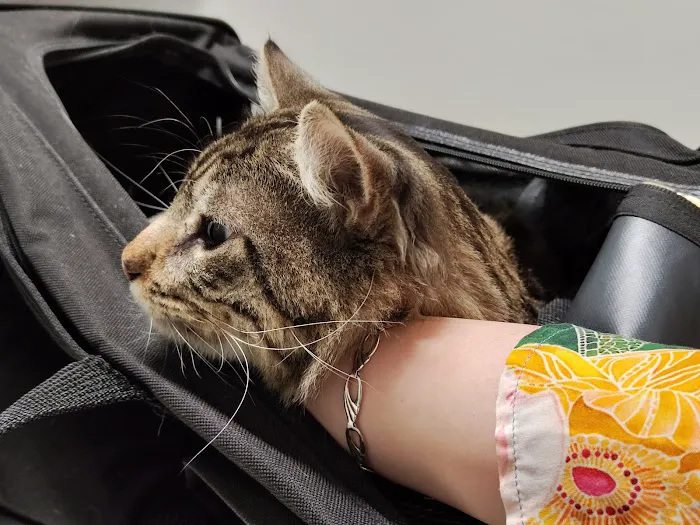 Desert Ridge Animal Hospital Picture 6
