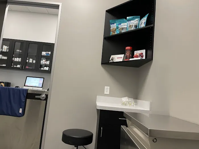Desert Ridge Animal Hospital Picture 10