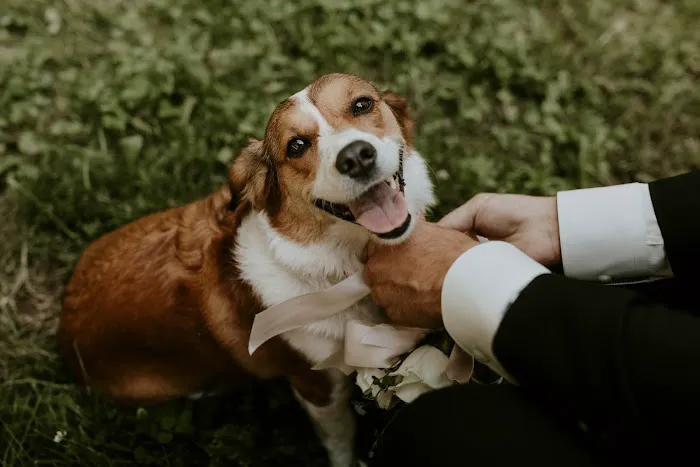 Bloom Veterinary Picture 1