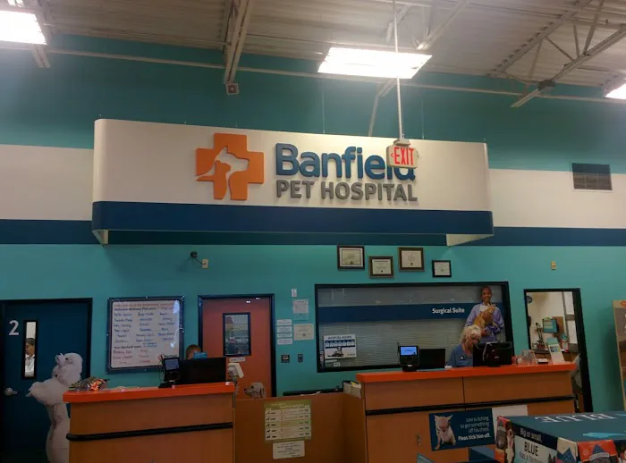 Banfield Pet Hospital Picture 8