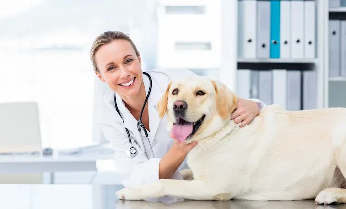 PetSmart Veterinary Services - North Scottsdale (Frank Lloyd Wright) Picture 1