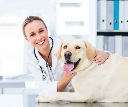 PetSmart Veterinary Services - North Scottsdale (Frank Lloyd Wright)