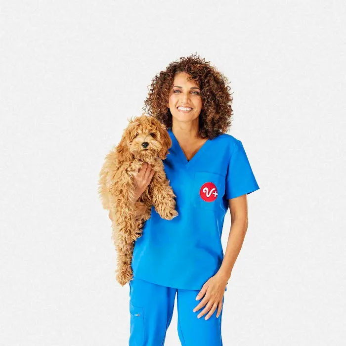 PetSmart Veterinary Services - North Scottsdale (Frank Lloyd Wright) Picture 5