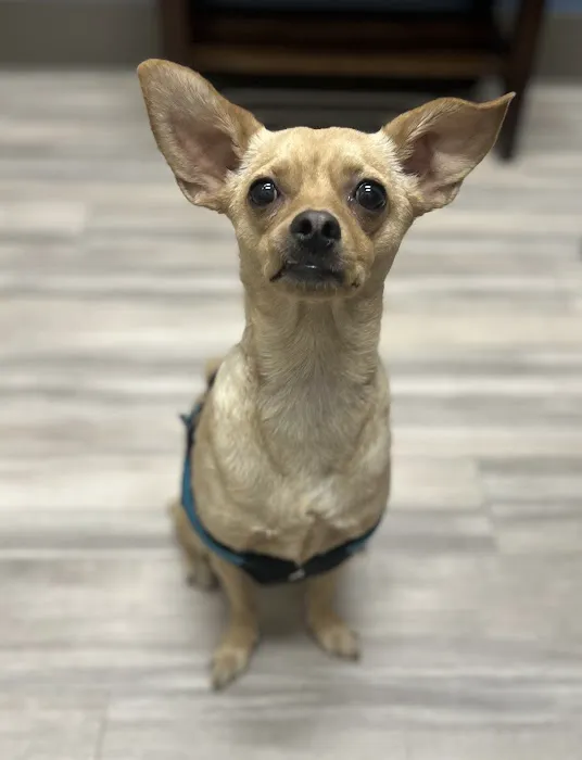 Parkway Animal Clinic Picture 8