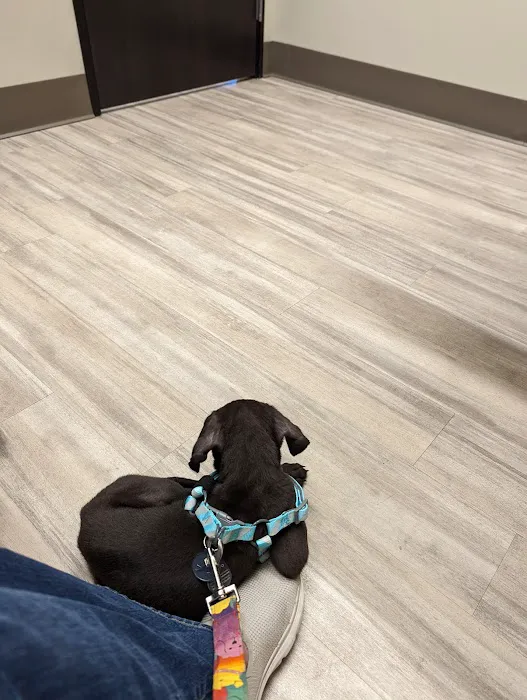 Parkway Animal Clinic Picture 9