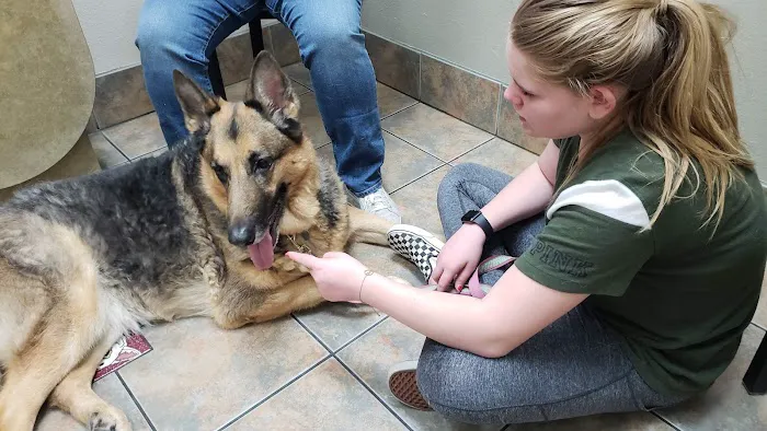 Lovet Pet Health Care - Happy Valley Picture 4