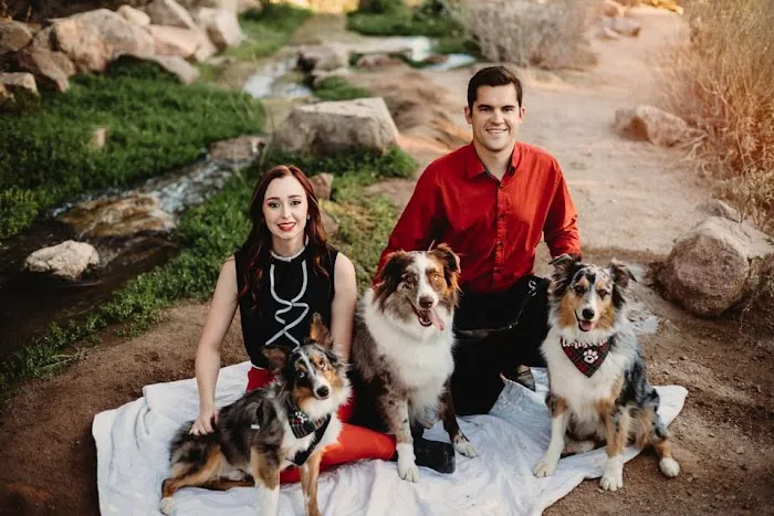 Copper Mountain Animal Hospital Picture 6