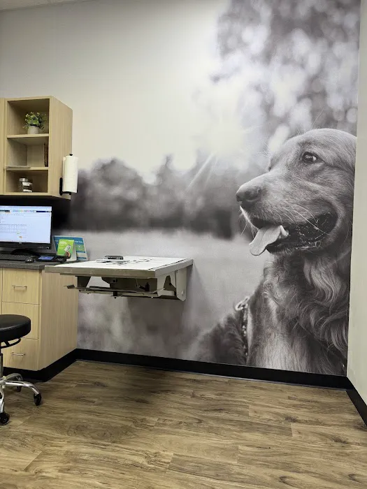 CityVet | Chandler Veterinary & Urgent Care Picture 5