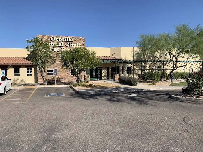 Ocotillo Animal Clinic & Pet Resort Picture 4