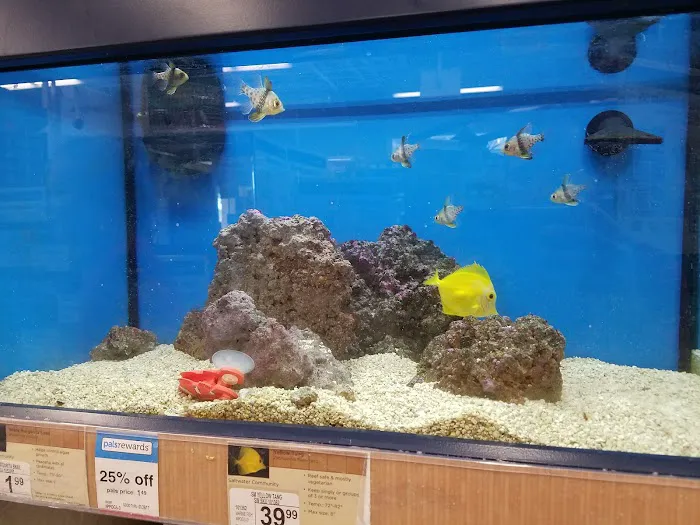 Petco Picture 10
