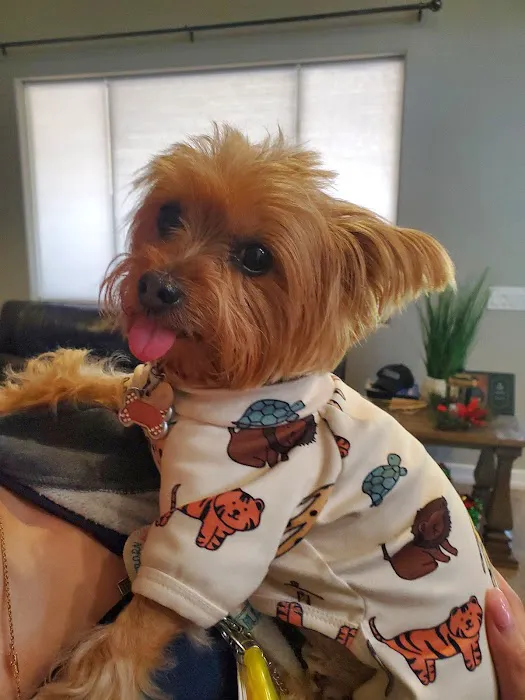 Great Hearts Animal Hospital of Chandler Picture 5