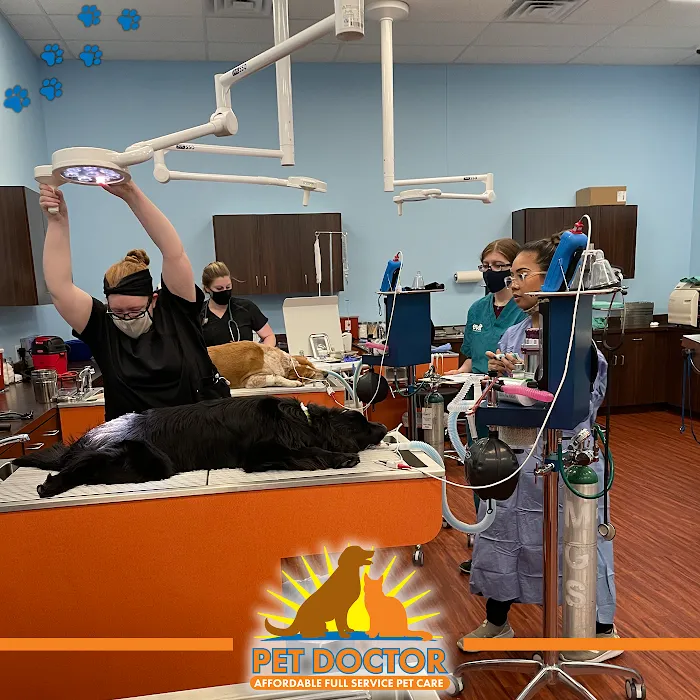 Pet Doctor of Chandler Picture 4