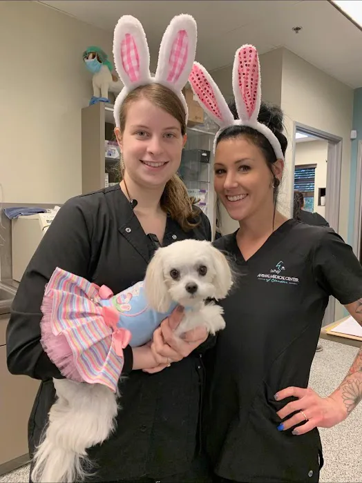 Animal Medical Center of Chandler Picture 4