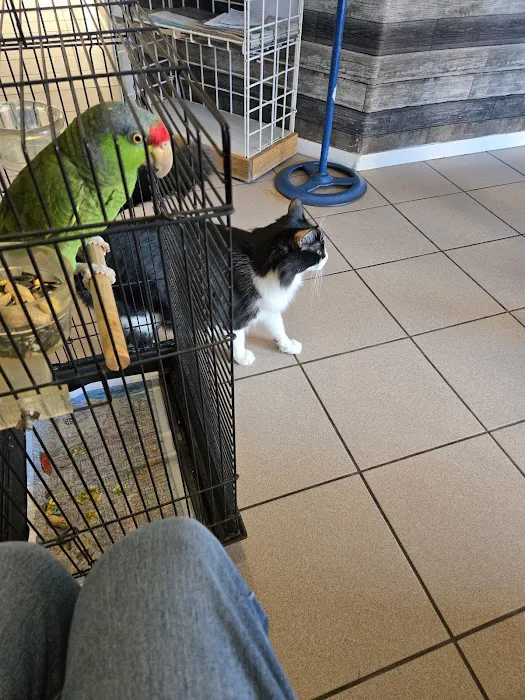 Buckeye Veterinary Services Picture 8