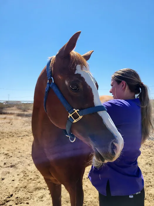 Durango Equine Veterinary Clinic Picture 7