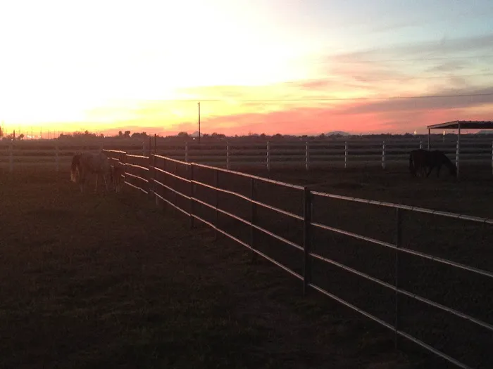 Durango Equine Veterinary Clinic Picture 1