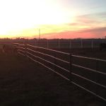 Durango Equine Veterinary Clinic