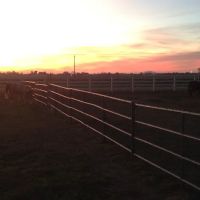 Durango Equine Veterinary Clinic ico
