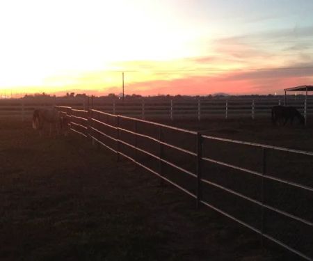 Durango Equine Veterinary Clinic