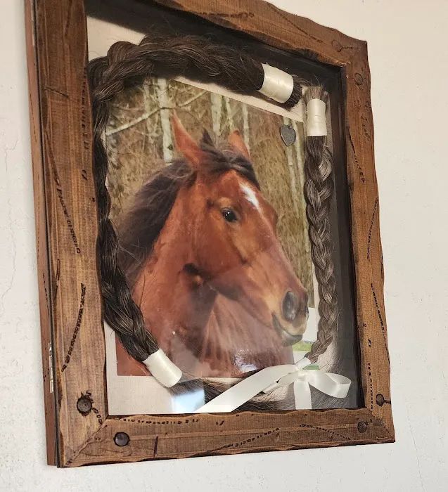 Durango Equine Veterinary Clinic Picture 4