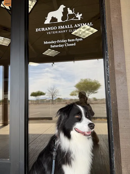 Durango Small Animal Veterinary Clinic Picture 6